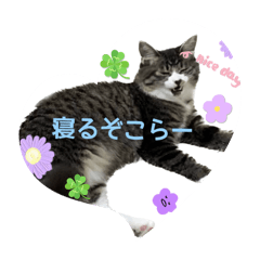 rimaru_20241219225121