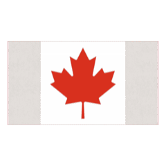 CANADA MAPLE COLOR DYNAMIC STICKER.   1