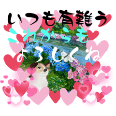 keiko_20241219203634