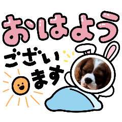 misa_20241219230039