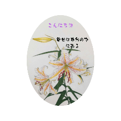 momoko_20241219201932