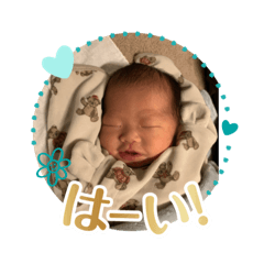 yuki_20241220025223