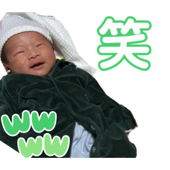 MOMOO_20241219220416