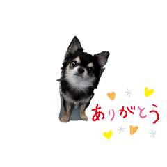 Misa_20241220073045