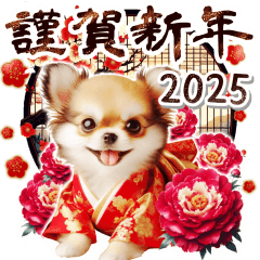 Chihuahua's New Year's greetings