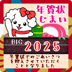 BIG Maltese dog New Year pretty18