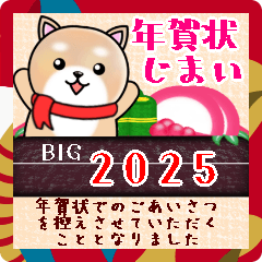 BIG shiba inu dog New Year pretty18