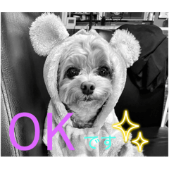 Miki_20241220124420