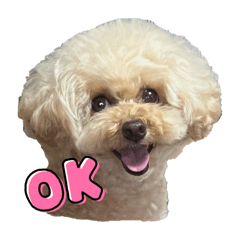 PoMu_chan