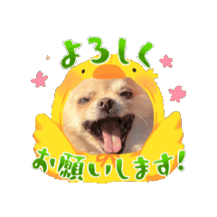 MARI_20241220111402
