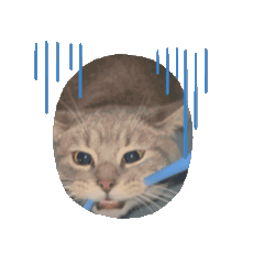 moving filo