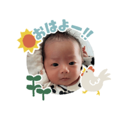 chihiro_20241220152608