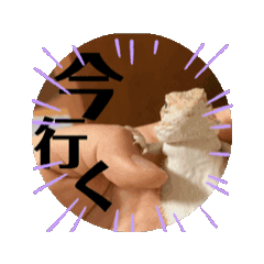 yuki_20241220155457