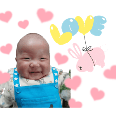 napi_20241220163503