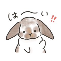 miyuki_20241220182819
