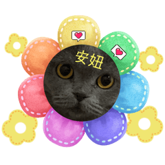 胖妹妹變臉秀