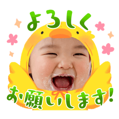 SZK_20241220211655