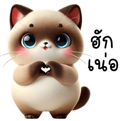 Funny Siamese Cat (Kum-muang)