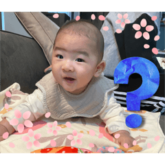 yoshi_20241220171218