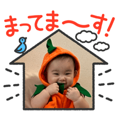 mai_20241220185941