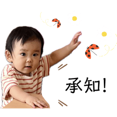 mai_20241220173006
