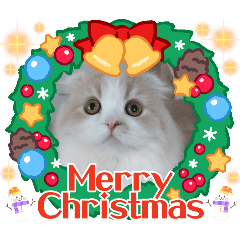 LIS@_20241220221310 – LINE stickers | LINE STORE