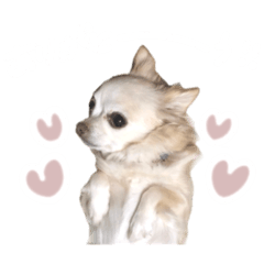bibi_20241220232029