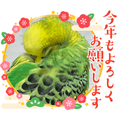 raimu&azuki_20241221123152