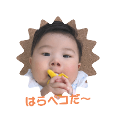 mai_20241221122809