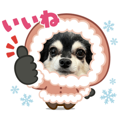 Yukorin_20241220232557