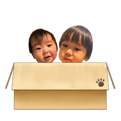 Taru_20241221004049
