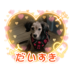 yuki_20241221125607