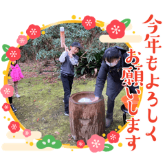 fun_20241221131317