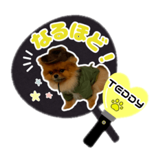 SEA_HouseL_20241221044215