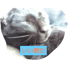 SakU_20241221131805