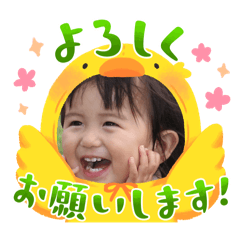 YM_20241221133719