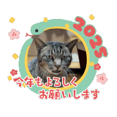 Hiro_20241221194702