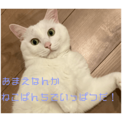 ice_20241221210817