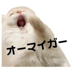Fluffy the neko