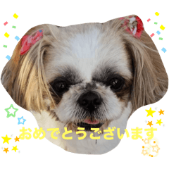 Sagohachi_20241222022332