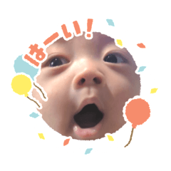 mo_20241222090536