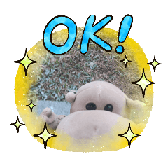 Popo the hippo