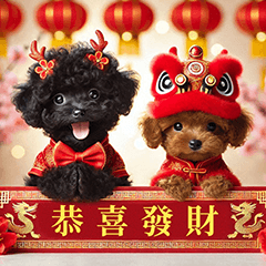 黑貴賓犬 祝您新年快樂