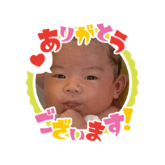 ebi_20241222071743