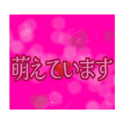 pnpuko_20241222115316