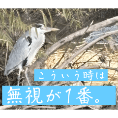 Nanamin_20241222023857