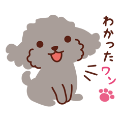 Various toy poodles_Daily Stickers