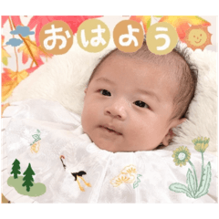 Konatsu_20241221202822