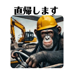 Construction site chimpanzee