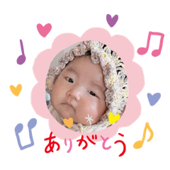 hikari_20241222004655